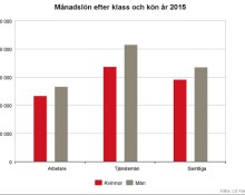 Bild: LO:s lönerapport.