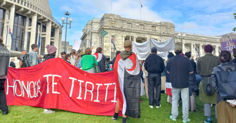 Protester i Wellington